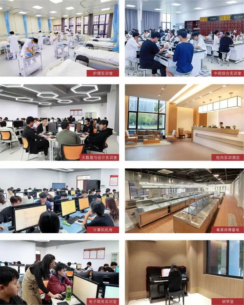 春季高考生,广东酒店管理职业技术学院2024年春招招5006人